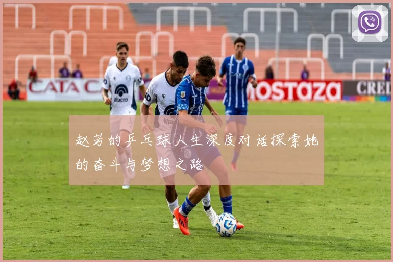 赵芳的乒乓球人生深度对话探索她的奋斗与梦想之路