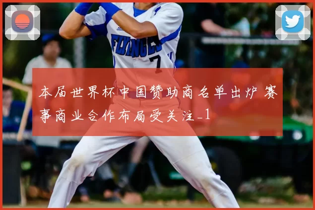 本届世界杯中国赞助商名单出炉 赛事商业合作布局受关注_1