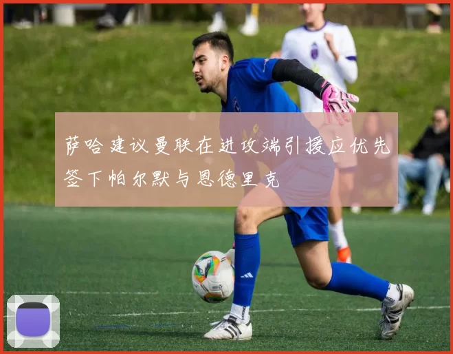 萨哈建议曼联在进攻端引援应优先签下帕尔默与恩德里克
