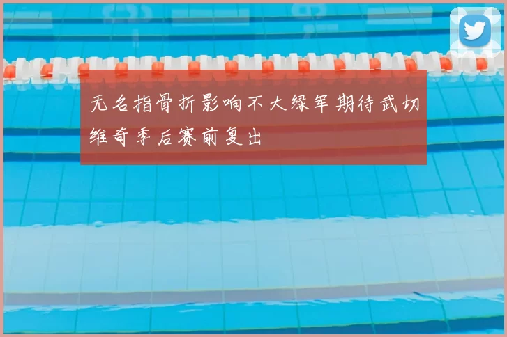 无名指骨折影响不大绿军期待武切维奇季后赛前复出
