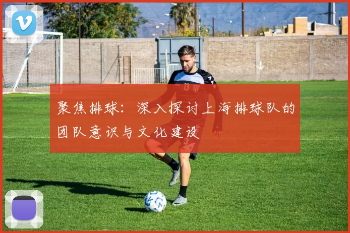 聚焦排球：深入探讨上海排球队的团队意识与文化建设