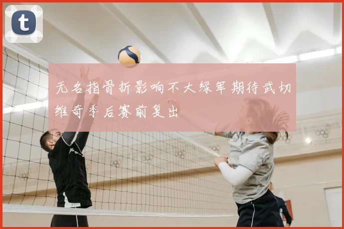 无名指骨折影响不大绿军期待武切维奇季后赛前复出