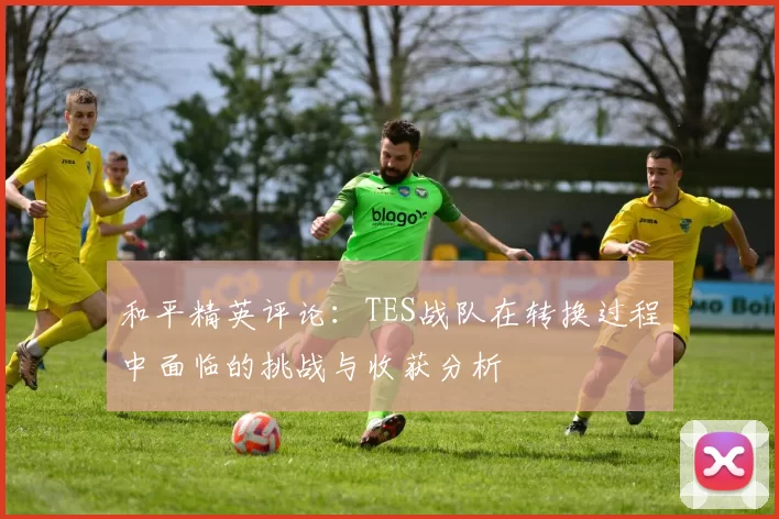 和平精英评论：TES战队在转换过程中面临的挑战与收获分析