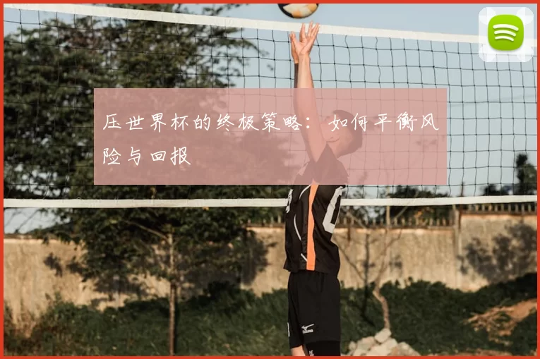 压世界杯的终极策略：如何平衡风险与回报